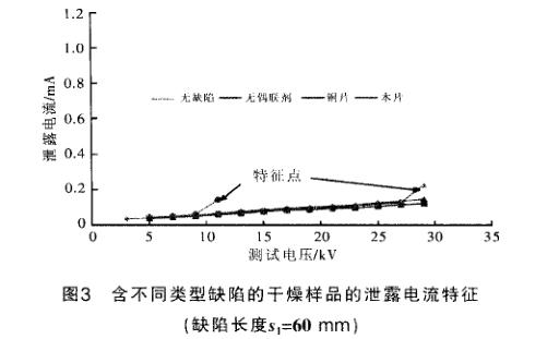 含缺陷復合絕緣子加速老化試驗